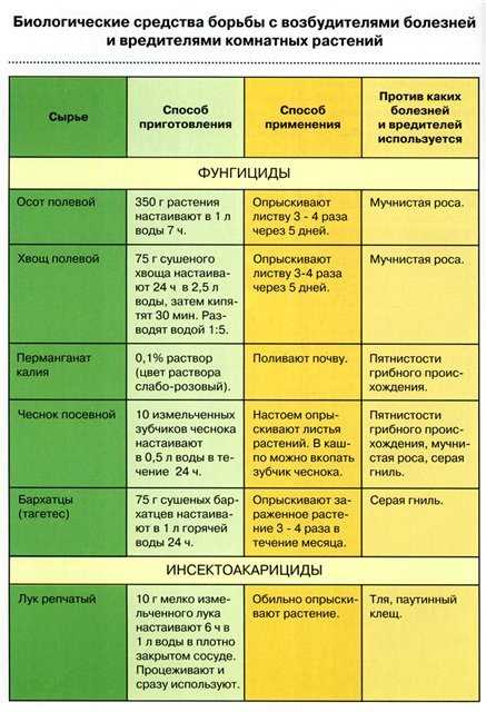 О препаратах для борьбы с болезнями комнатных растений простым языком — уход за цветами