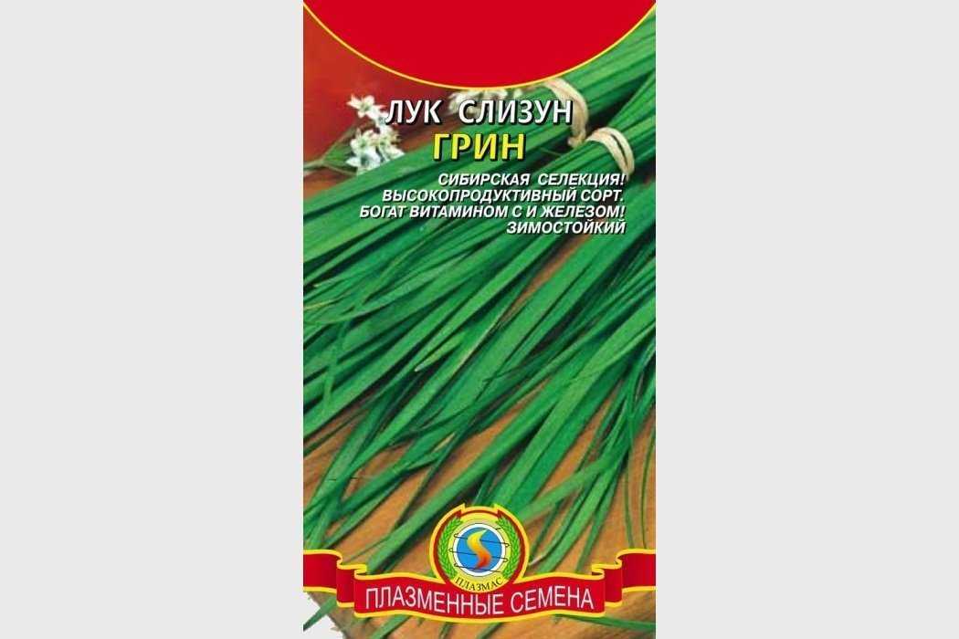 Лук-слизун