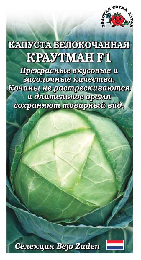 Капуста краутман (krautman) f1: характеристика сорта, урожайность, вкусовые качества гибрида, посадка и уход
