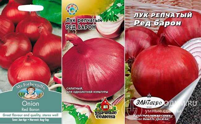 Лук руд барон: характеристика и описание сорта
