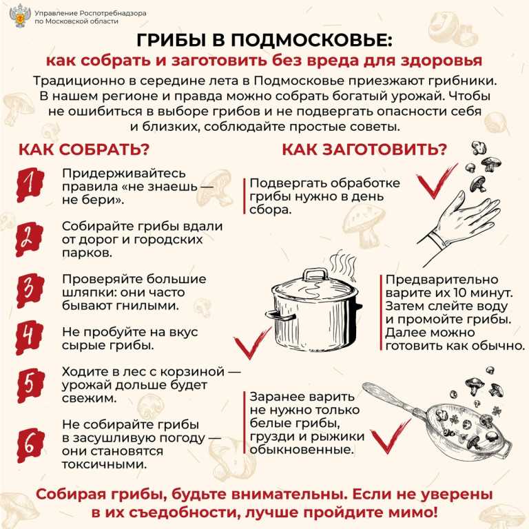 Замороженные грибы: что приготовить из них и каким способом? вкусные грибные блюда