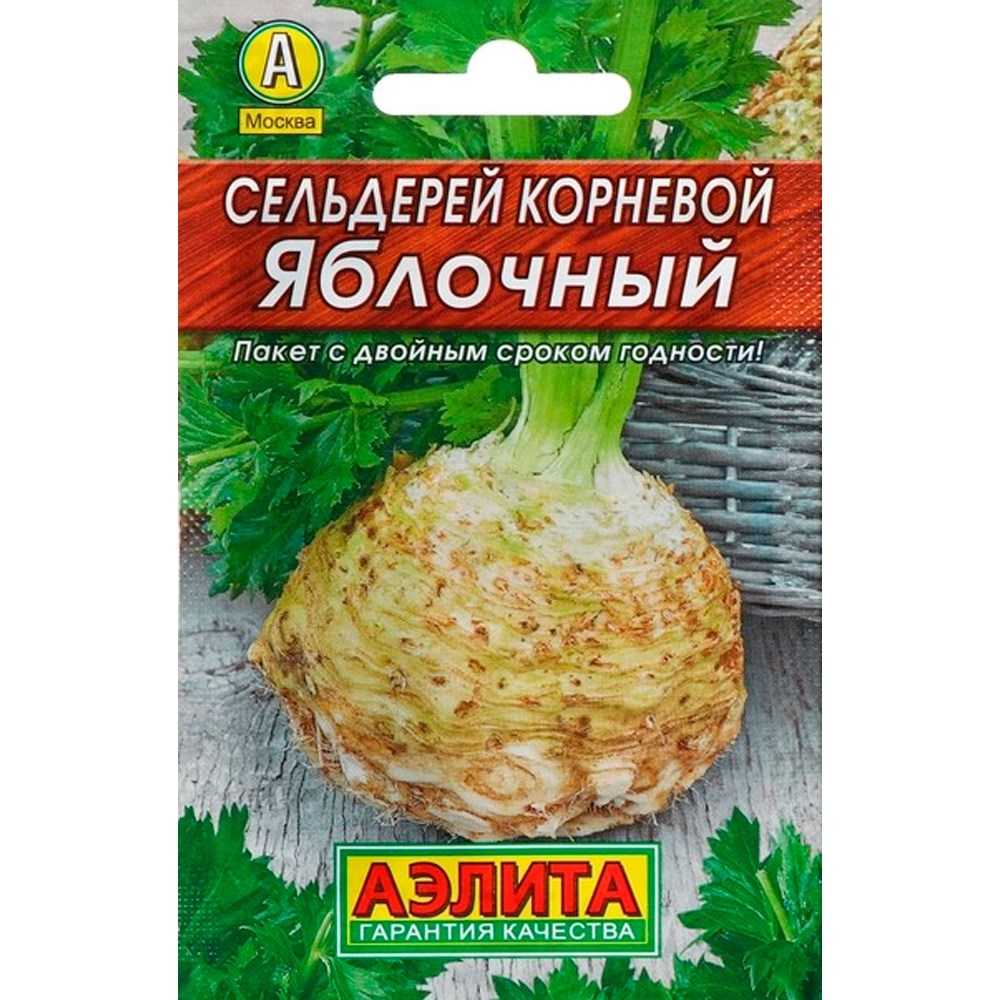 Сельдерей: выращивание, уход, полезные свойства +отзывы