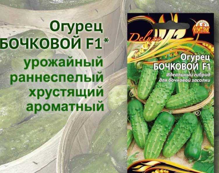 Сорт огурцов для теплицы гибрид санькина любовь