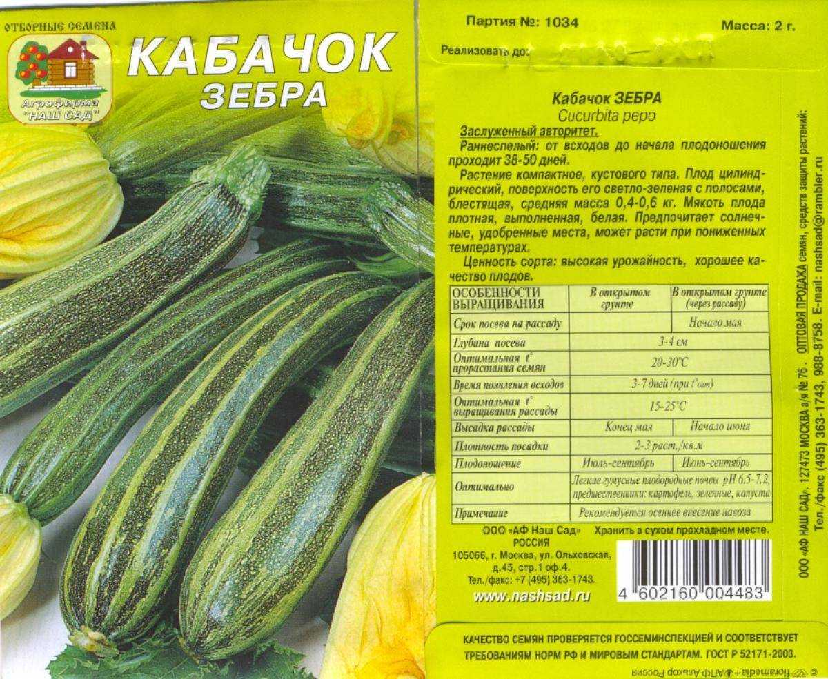 Кабачок цуккини. рейтинг сортов 2020 года с фото и описанием