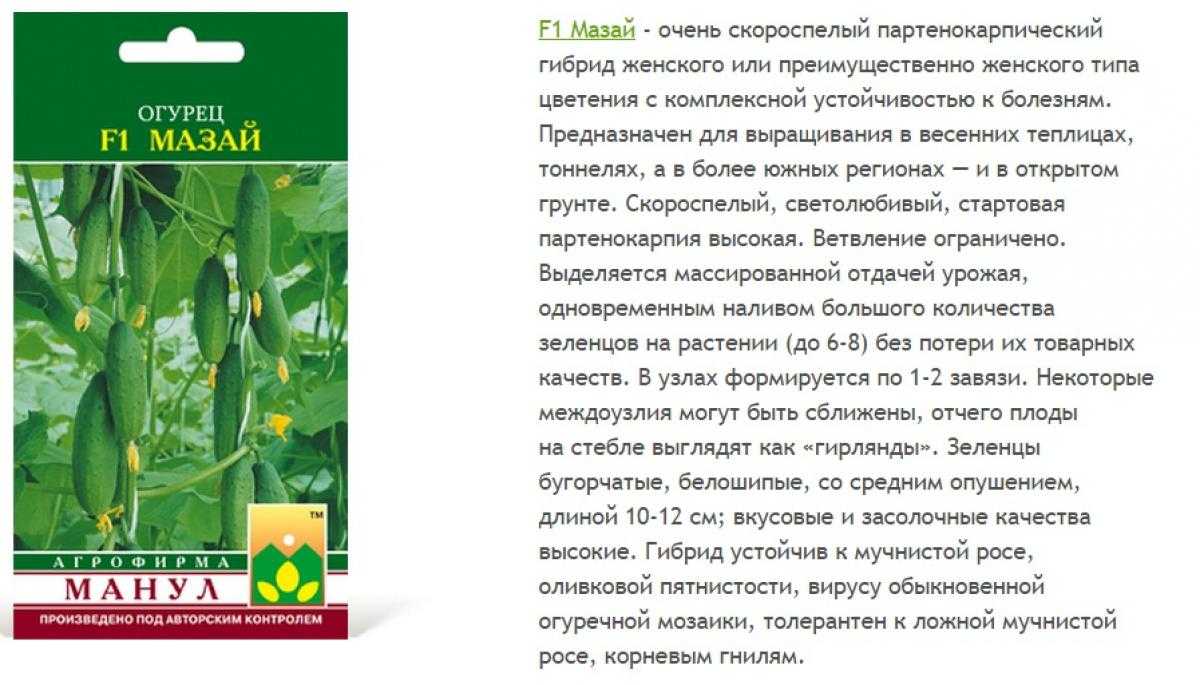 Лучшие сорта среднеплодных огурцов новых селекций