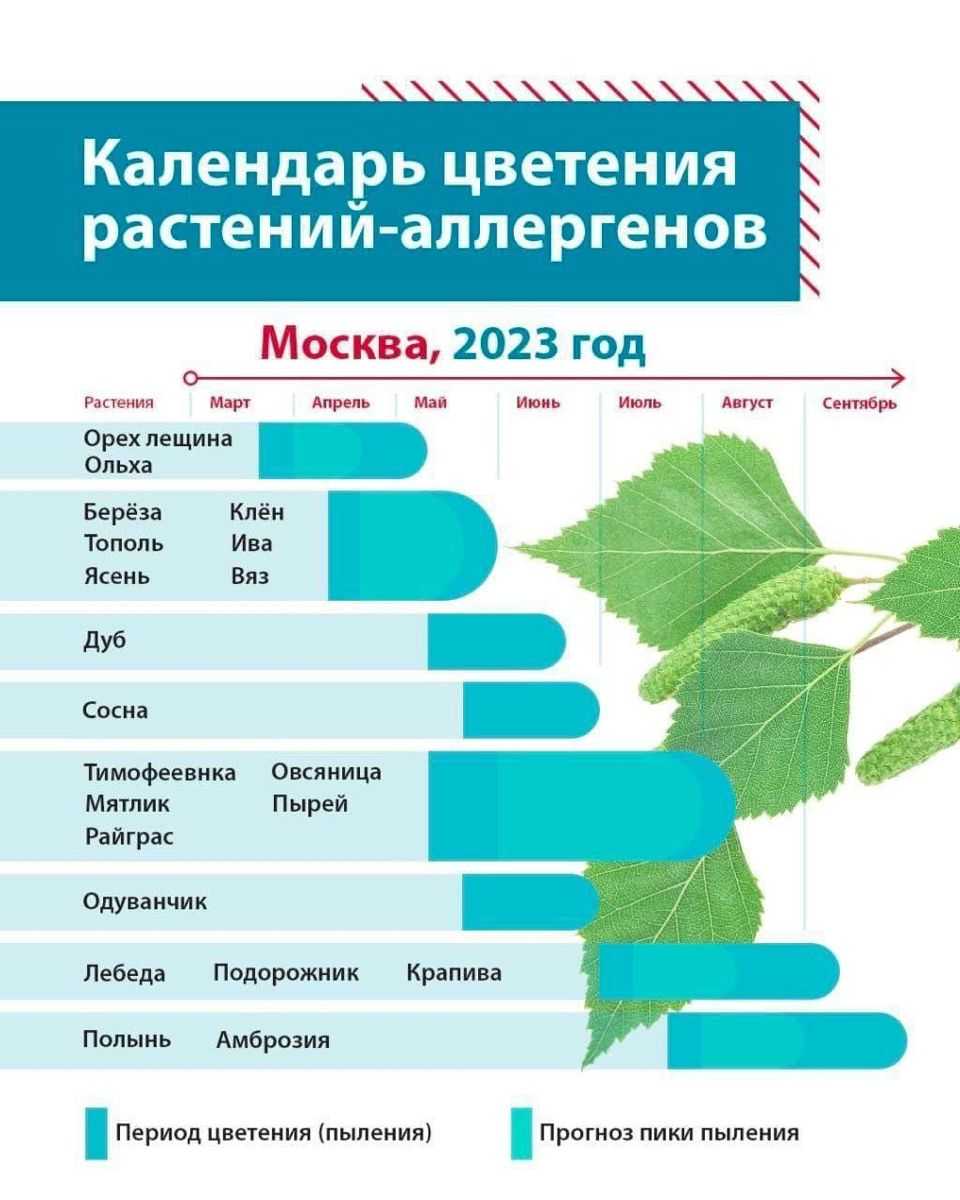 Топ-16 растений, которые нельзя держать дома