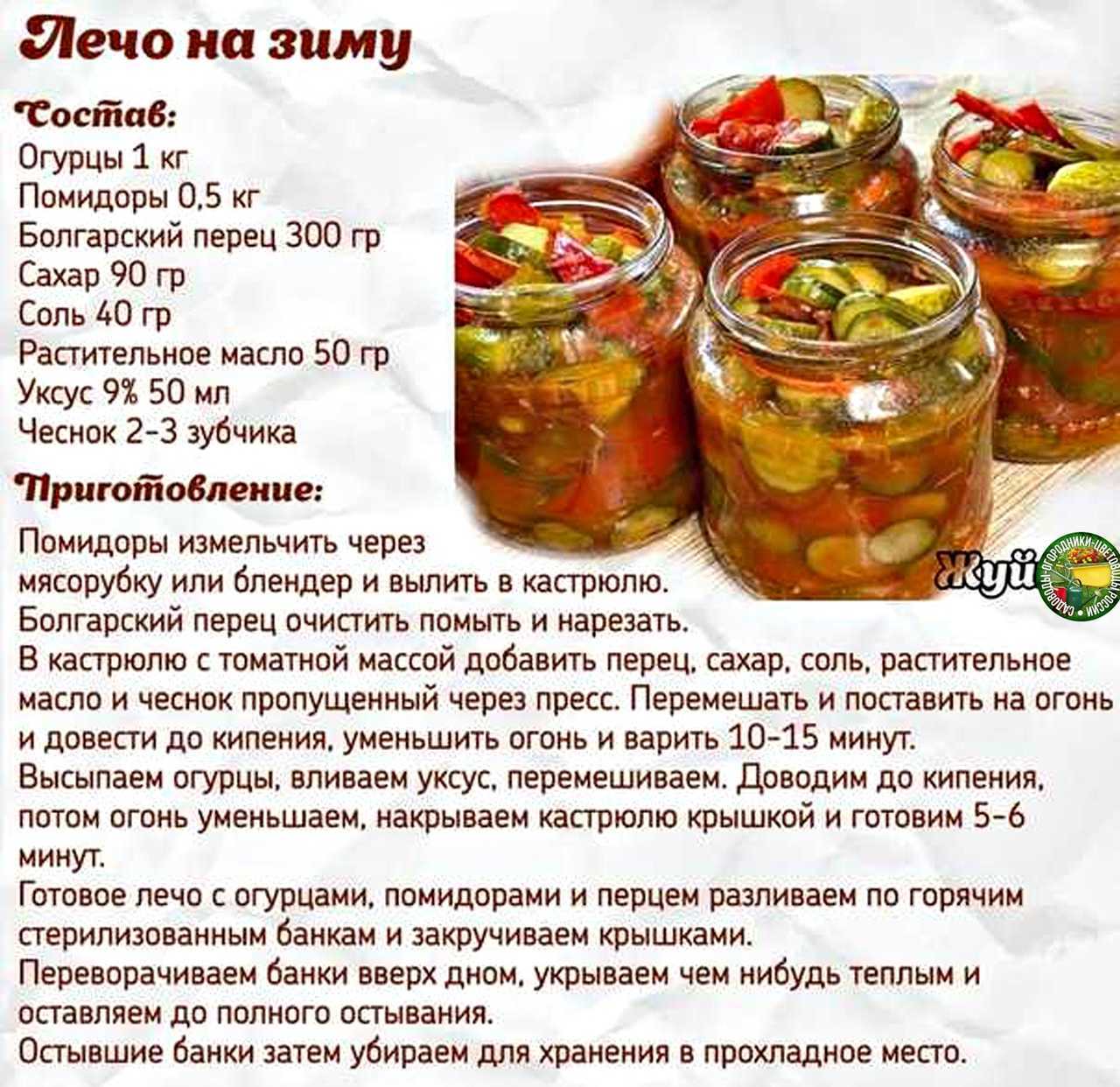 Как высушить морковь в электросушилке
