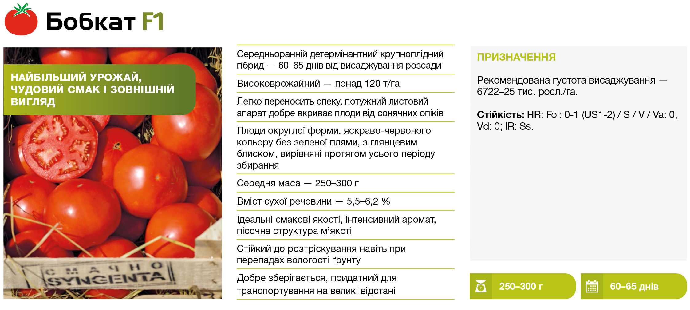 Томат бобкат: характеристика и описание сорта, урожайность и выращивание, отзывы с фото