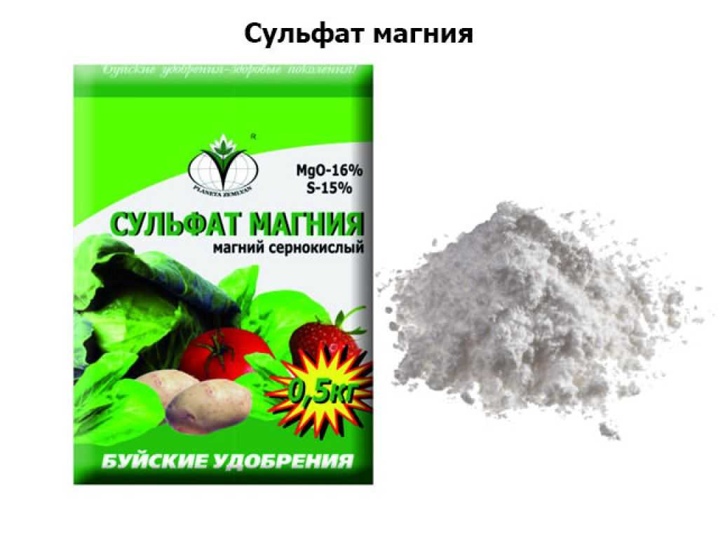 Сульфат магния для роз: инструкция применения, эффективность подкормки