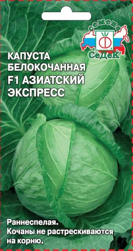 Капуста экстра – описание сорта, фото, отзывы