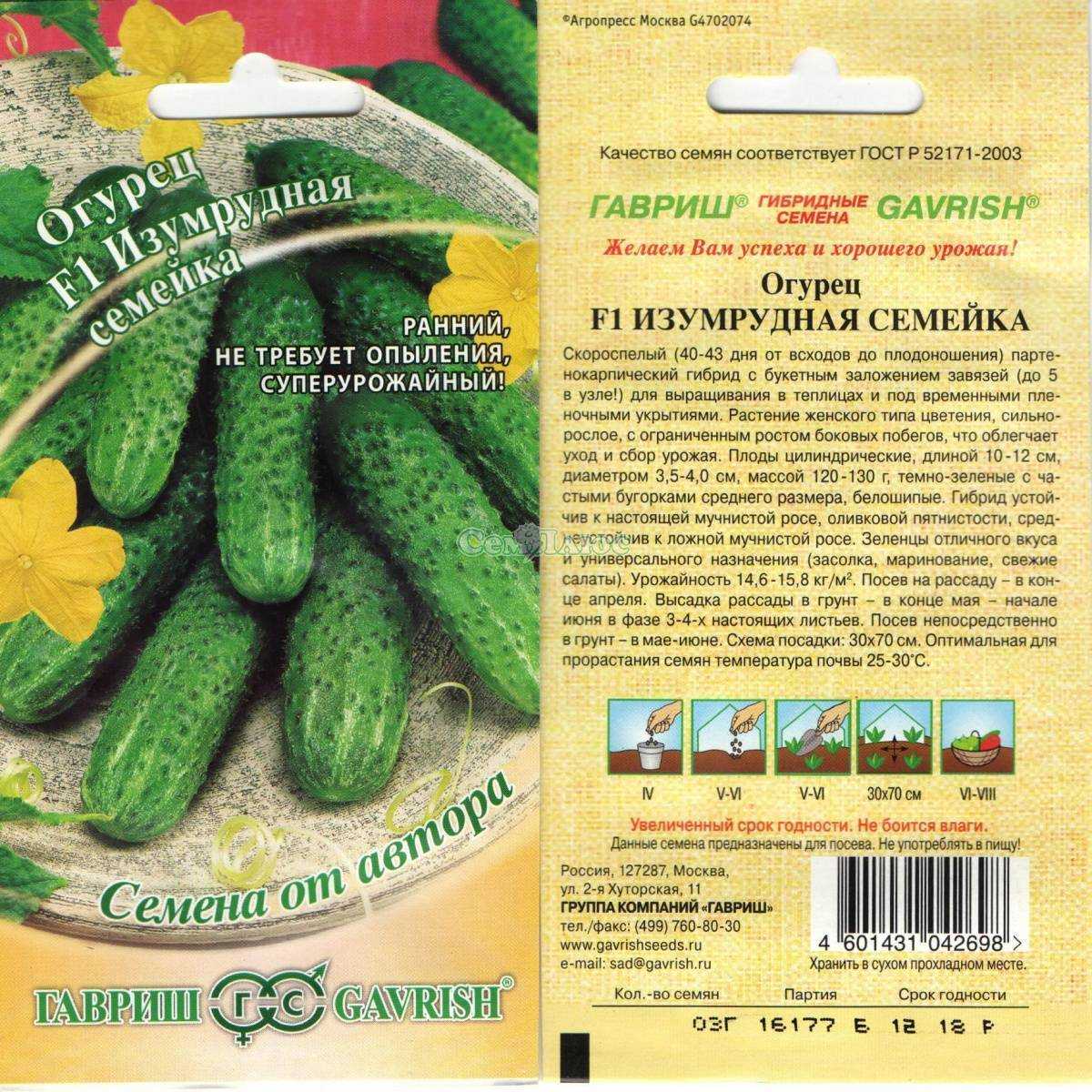 Лучшие сорта огурцов на 2024 год: самые вкусные и урожайные
