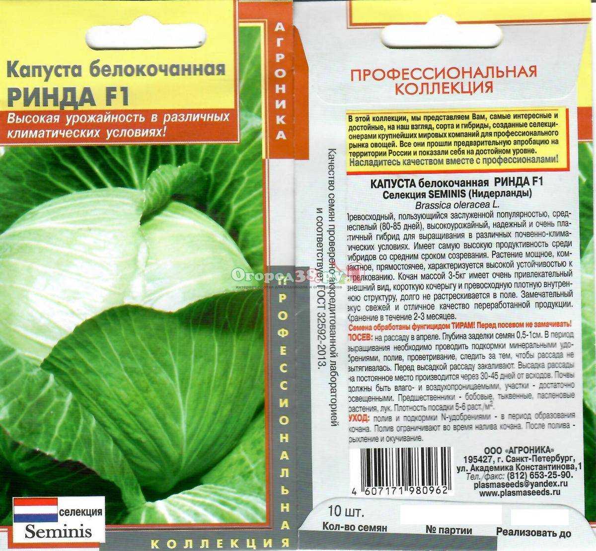 Характеристики и описание сорта капусты колобок