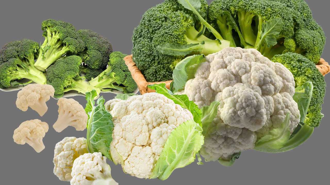 Маринованные брокколи рецепты на зиму по-домашнему