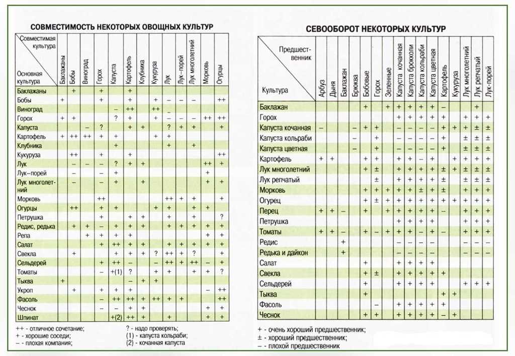 Севооборот овощных культур: схема чередования овощей