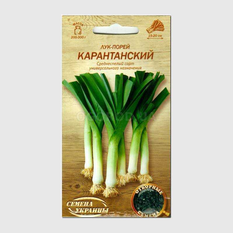 Лук порей карантанский выращивание из семян своими руками - подробное руководство!