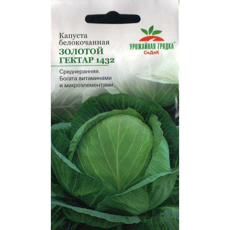 Капуста золотой гектар 1432: описание сорта, посадка, уход, фото, отзывы