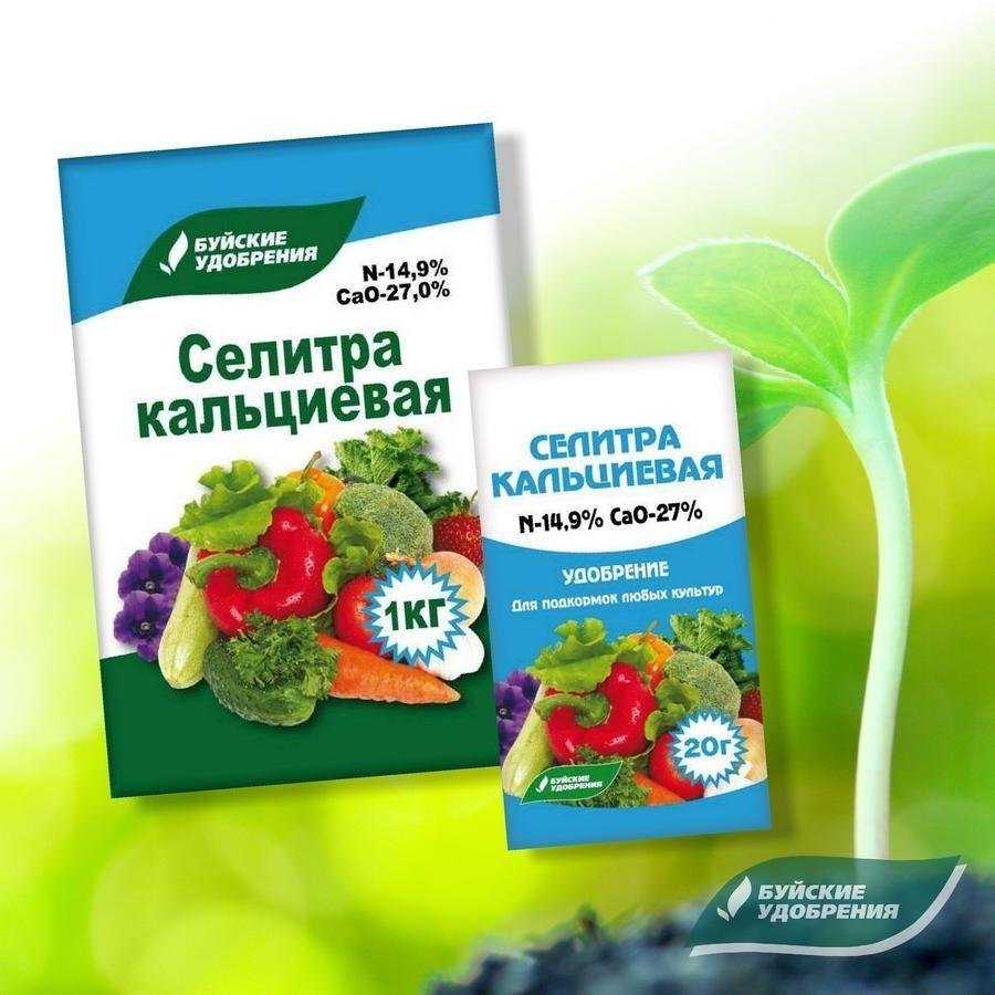 Кальциевая селитра – удобрение для почв с повышенной кислотностью