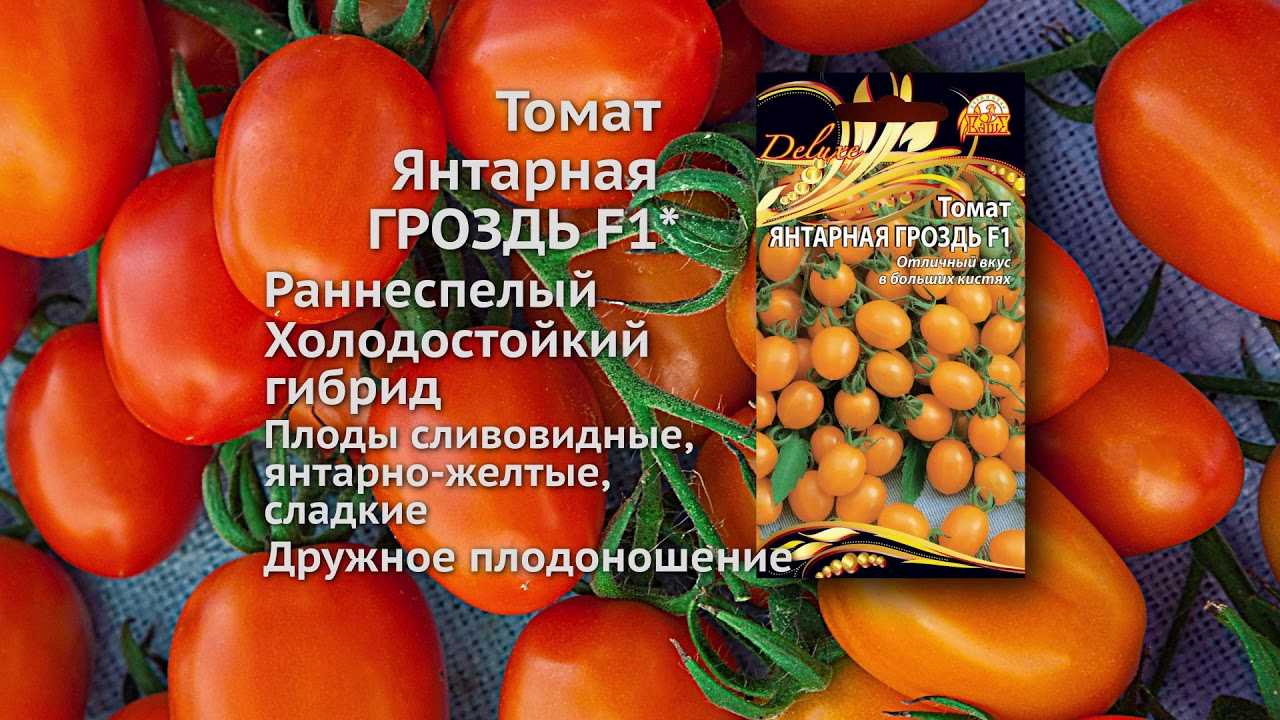 Томат янтарный мед: отзывы об урожайности помидоров, характеристика и описание сорта, фото семян