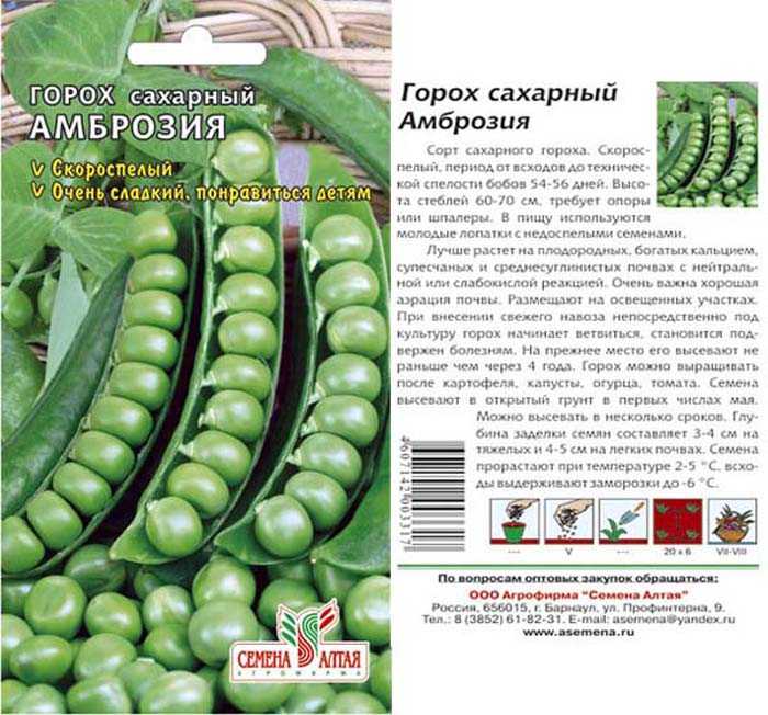 Горох сорт сахарный описание сорта