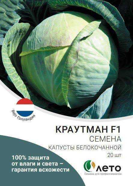 Краутман f1 урожайная капуста. описание, принципы культивирования, отрицательные и положительные качества