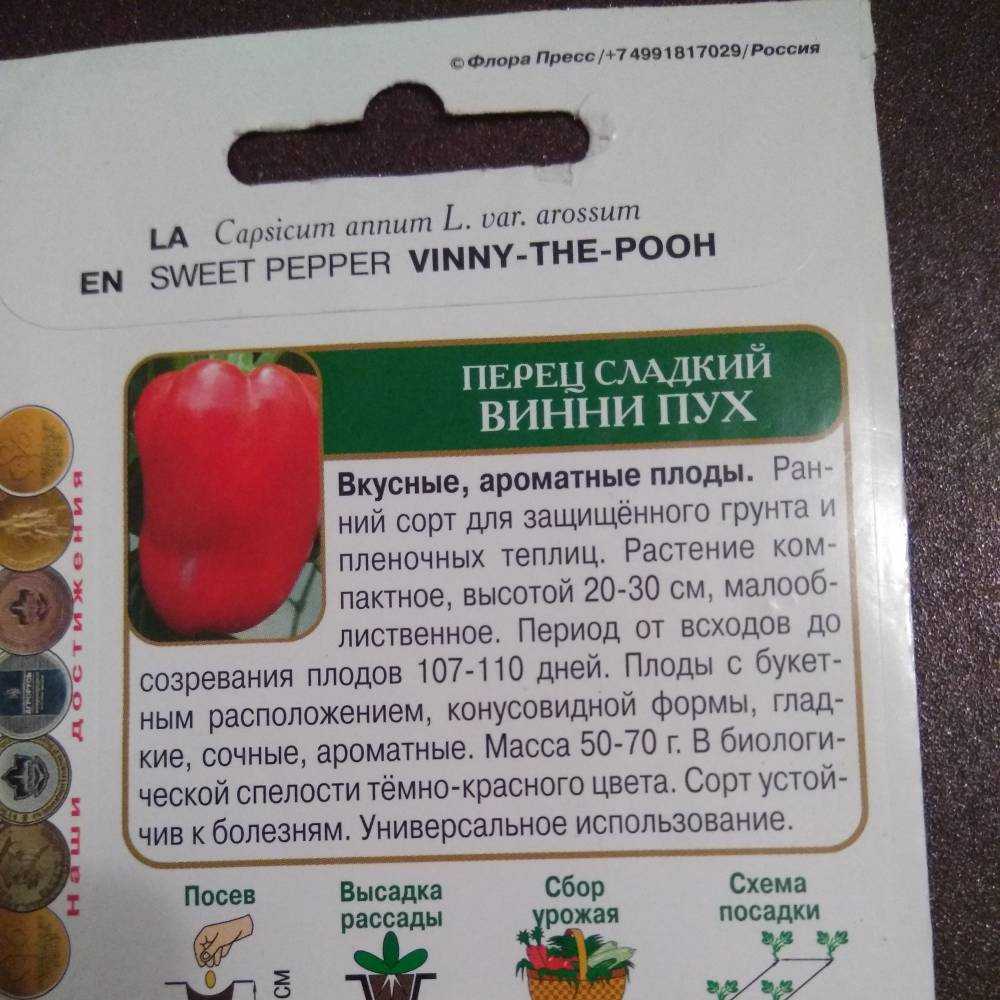 Описание сладкого болгарского перца винни пух и выращивание в огороде и на балконе