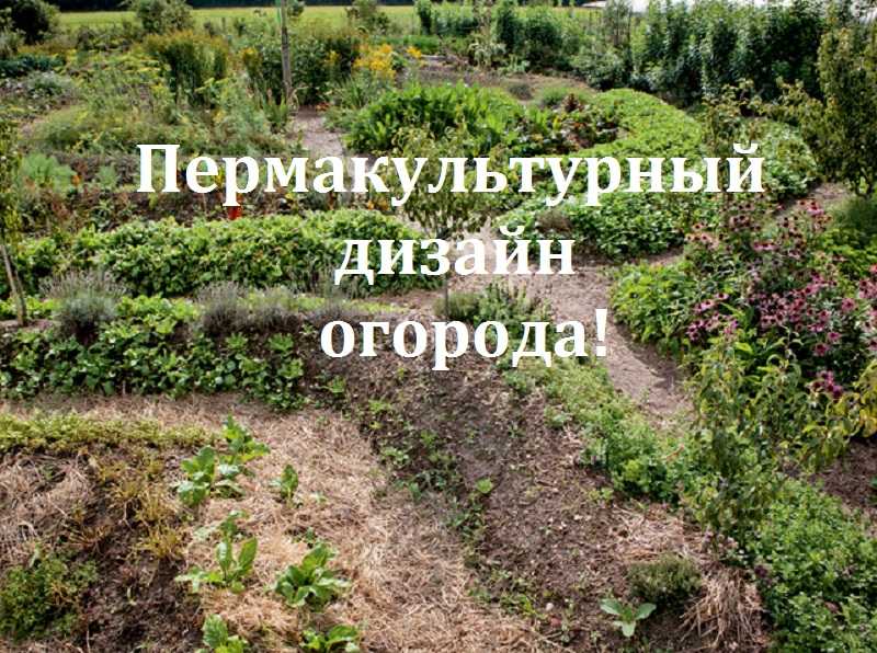 Как мы создали на участке водоем с  подсветкой