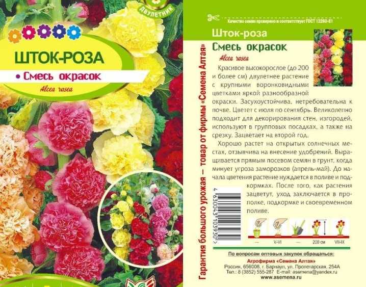Штокроза- посадка, виды с фото, выращивание и уход