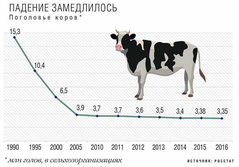 ᐉ как повысить удой молока у коровы, повышение удоев у коров - zoomanji.ru