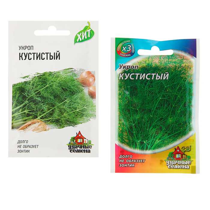 Укроп кустовой: сорта для зелени (русский размер, супердукат и т.д.), декоративный кустистый укроп, фото и отзывы