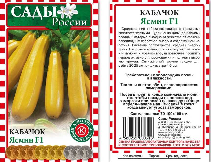 Лучшие сорта кабачков: топ-17 самых урожайных и вкусных, их описания и характеристики