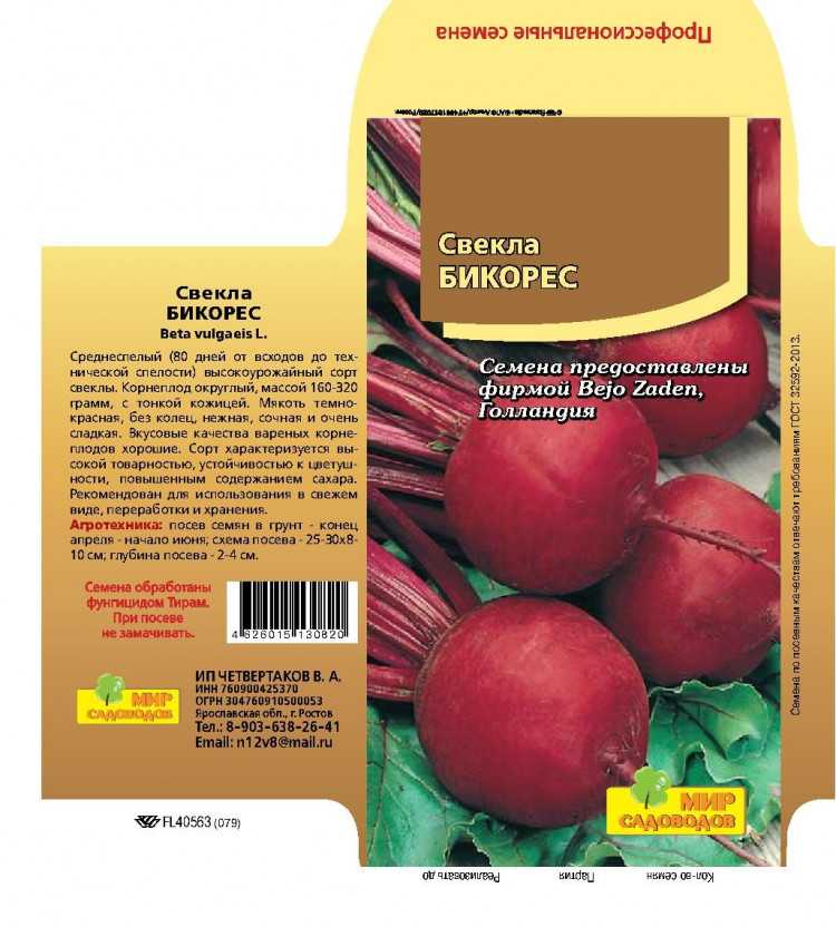 Лучшие сорта свеклы
