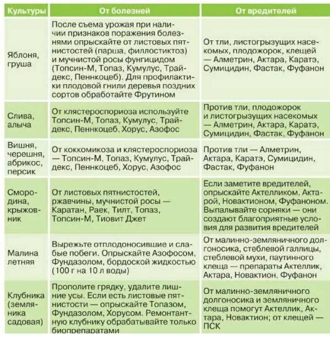 Актара: инструкция по применению для комнатных растений