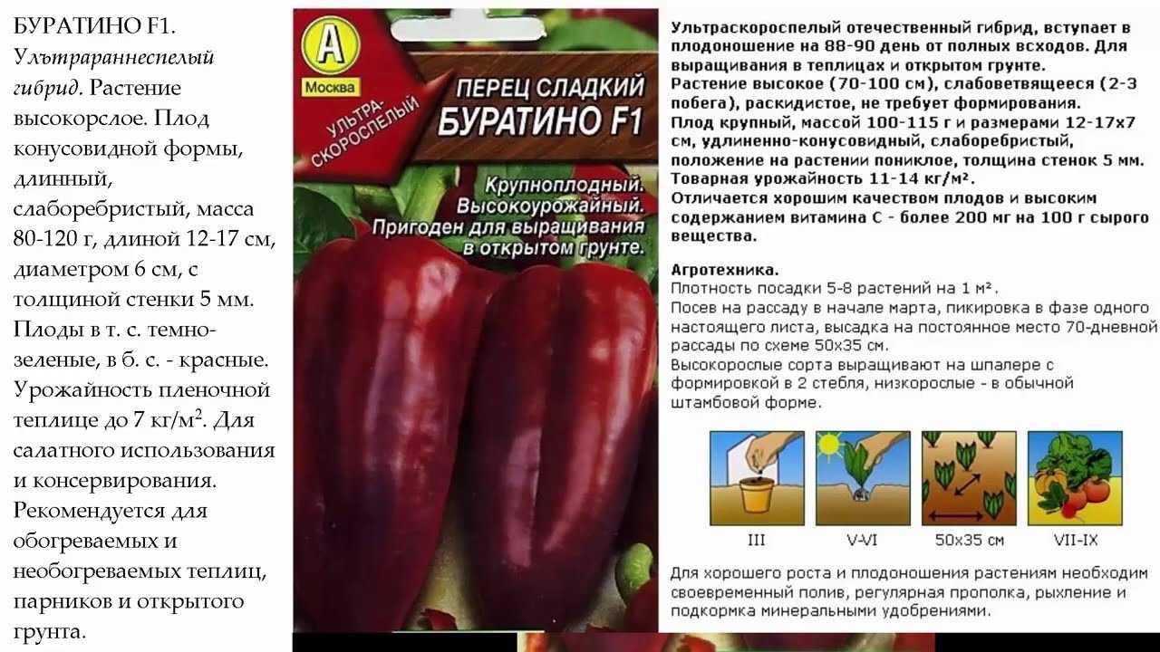 Перец сладкий буратино f1 описание сорта - у дачки