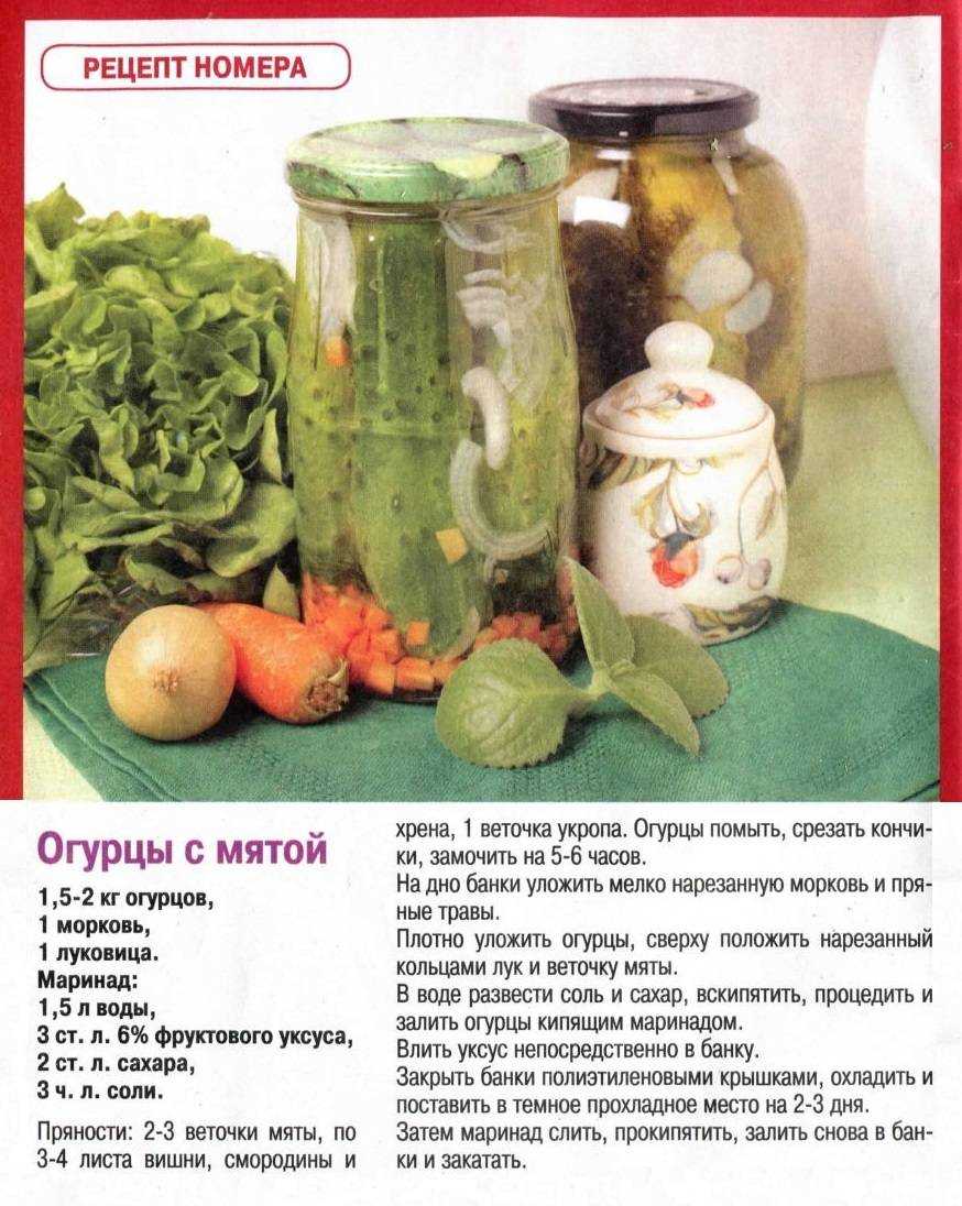 Топ-8 хрустящие маринованные огурцы в банках на зиму на 1 литровую банку