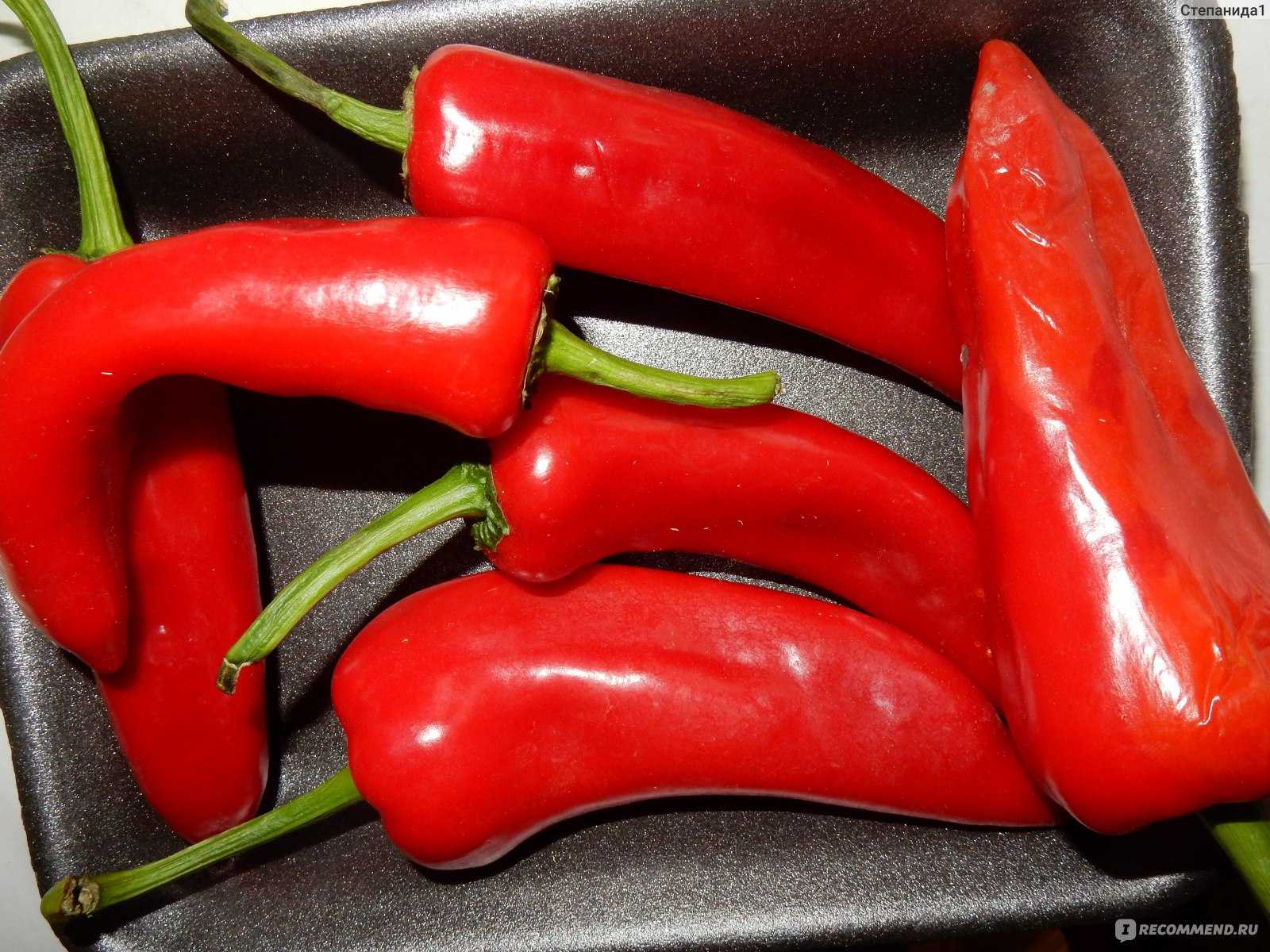Сорт перца рамиро