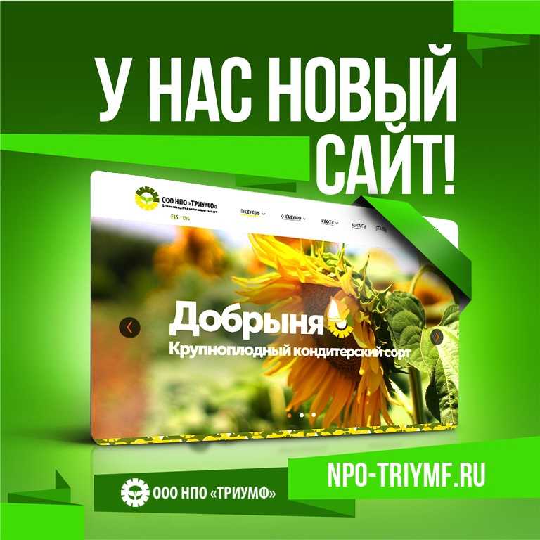 Сорта и гибриды подсолнечника: описание и фото