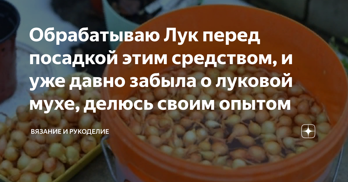 Обработка лука-севка перед посадкой: как и чем | секреты суперхозяйки