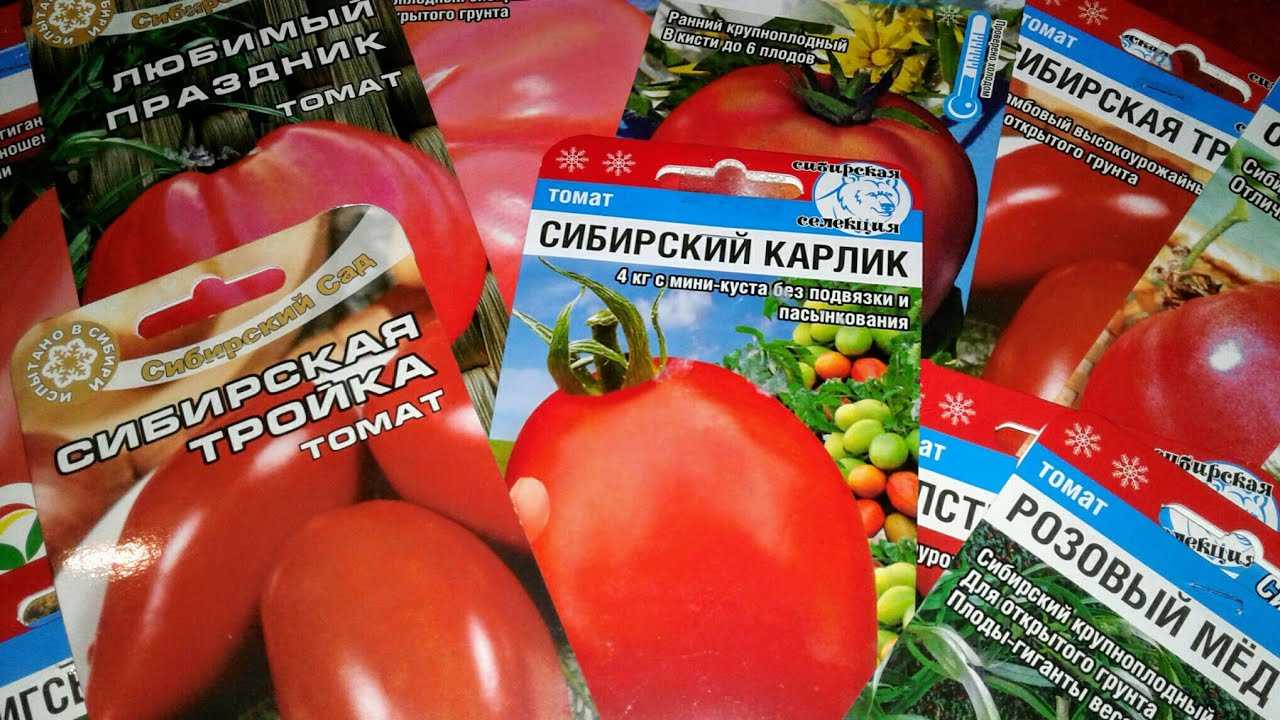 Низкорослые томаты: лучшие сорта с фото и названиями (каталог)