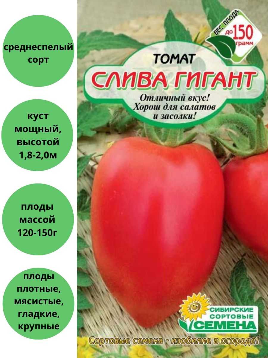 Описание томата чернослив, выращивание в теплице и в открытом грунте