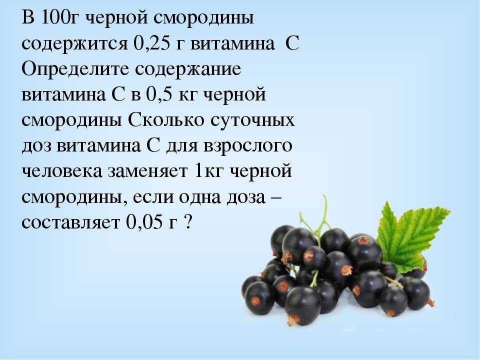 Чем полезна чёрная смородина для женщин и какие у неё свойства