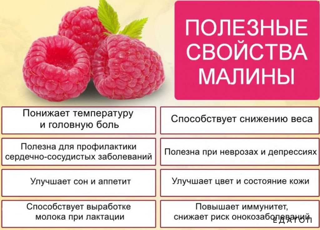 Морс из малины: полезные свойства, рецепты приготовления