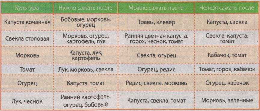 Таблицы и списки: что после чего сажать на огороде | дача