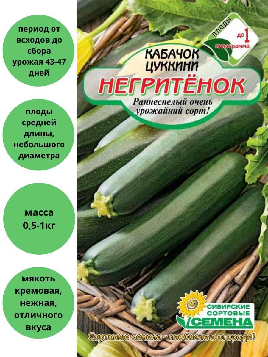 Кабачок «негритёнок» описание сорта цуккини и правила выращивания и ухода