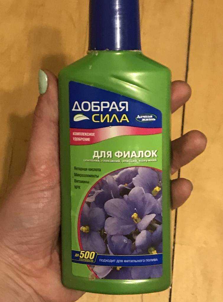 Подкормка фиалок для цветения дома готовыми удобрениями и народными средствами