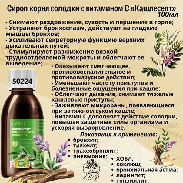 Солодка: полезные свойства и противопоказания, применение и рецепты (лакрица)