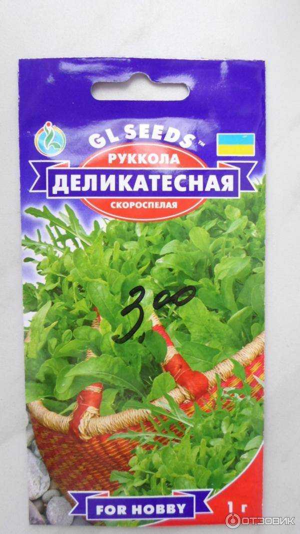 Выращиваем салат айсберг из семян