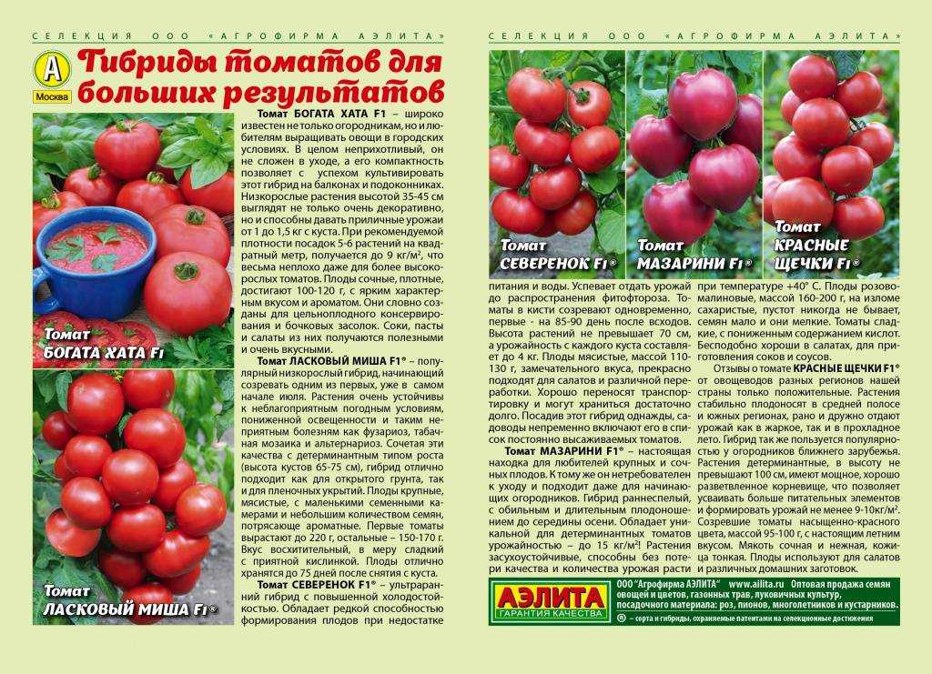 Томат алый мустанг: отзывы и фото, характеристика и описание интересного сорта