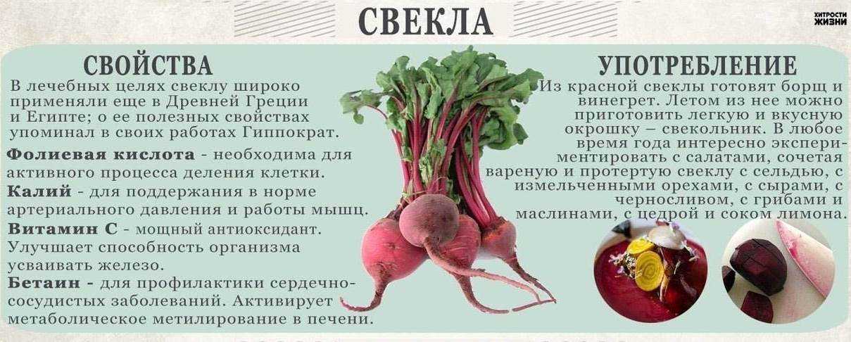 Морковный чай: как приготовить напиток из сушеного корнеплода и ботвы моркови в домашних условиях? рецепты, полезные свойства, вред и противопоказания