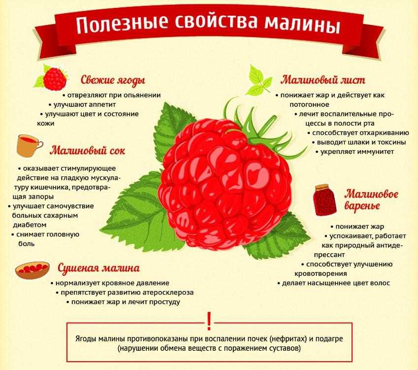Для приготовления такого малинового чая можно взять как свежие ягоды малины так и замороженные Это делает рецепт универсальным так как замороженная малина всегда