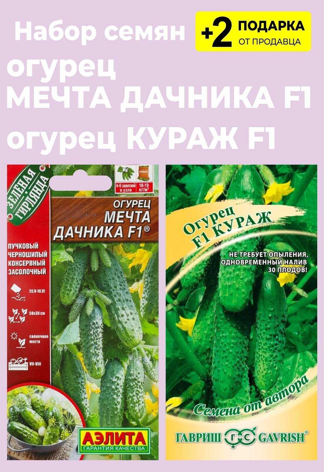 9 незаменимых гибридов огурцов, которые я советую выращивать всем